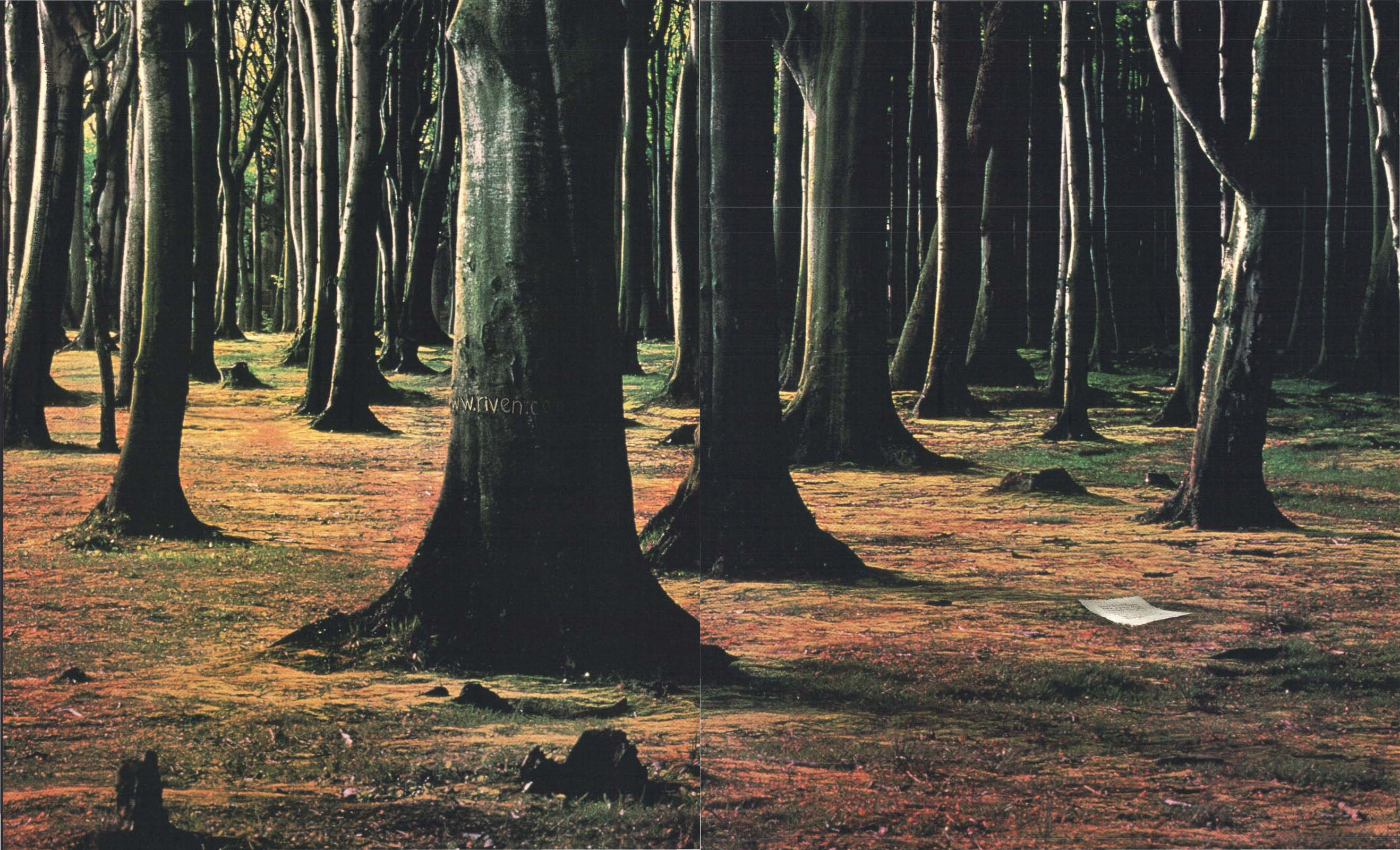 Placeholder Alt Text